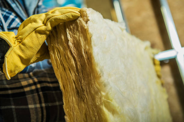Best Geographic-Specific Insulation Services in French Valley, CA