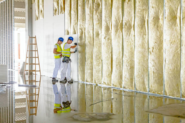 Best Spray Foam Insulation in French Valley, CA